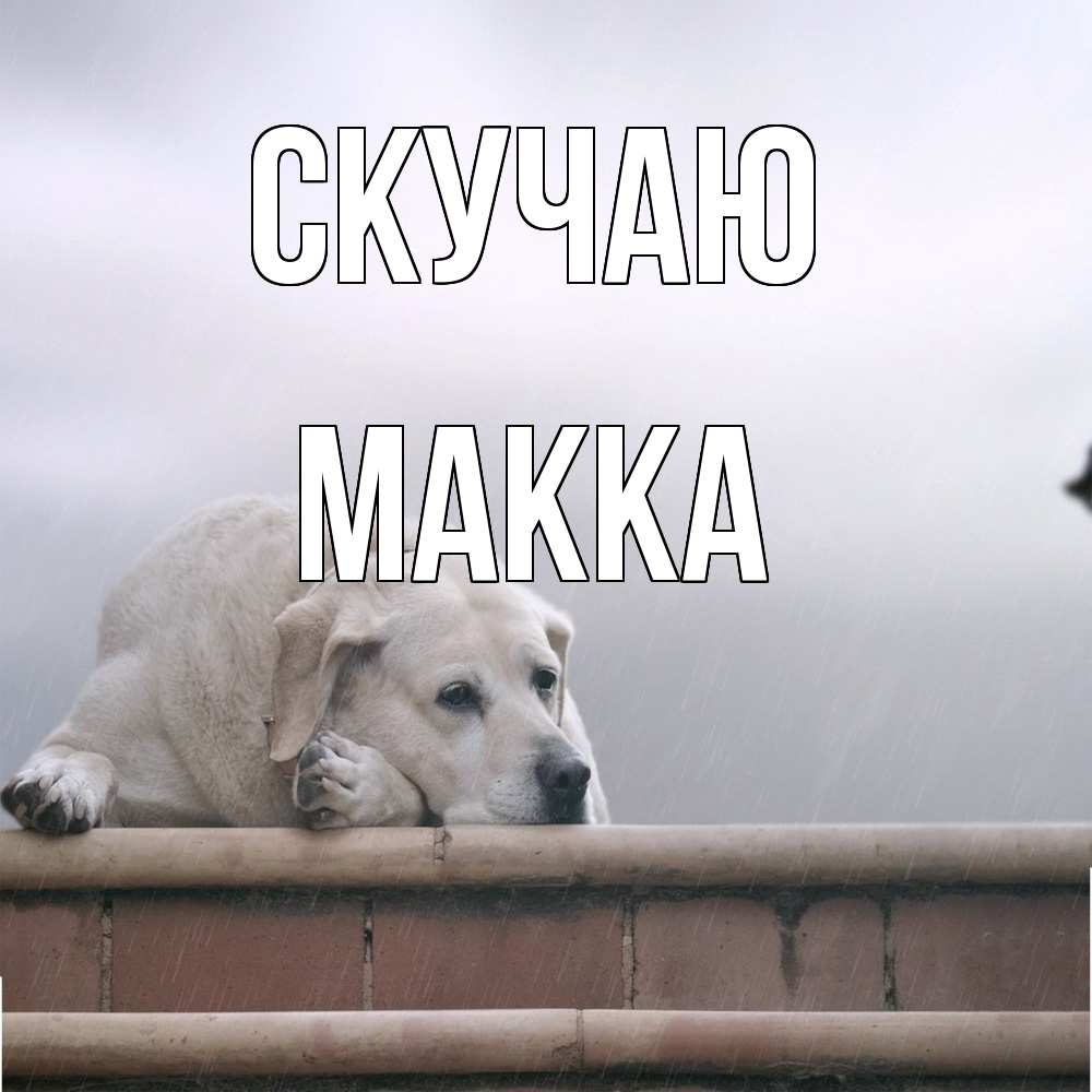 Открытка  с именем. Макка, Скучаю  