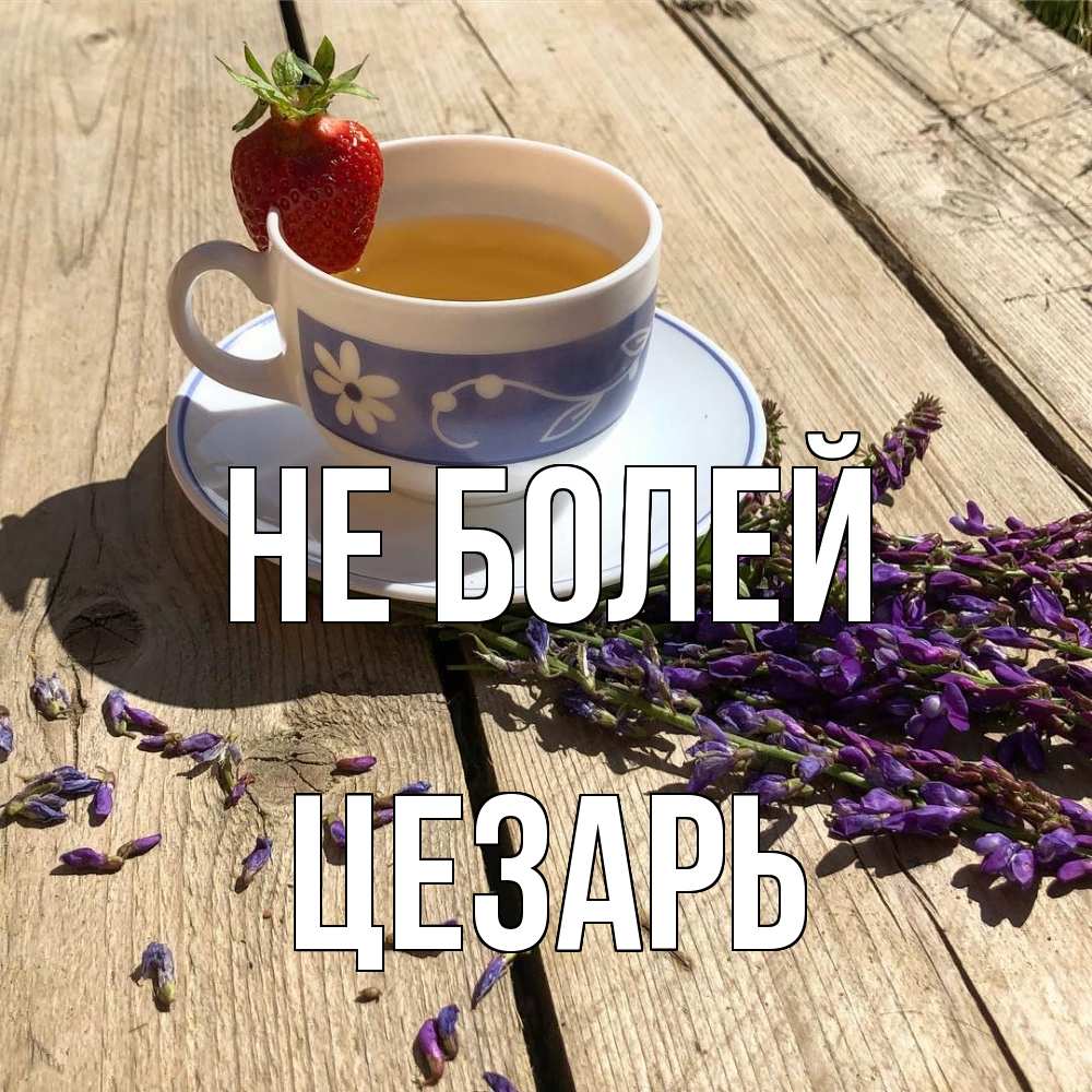 Открытка  с именем. Цезарь, Не болей  