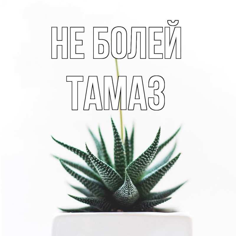 Картинка Не болей, Тамаз