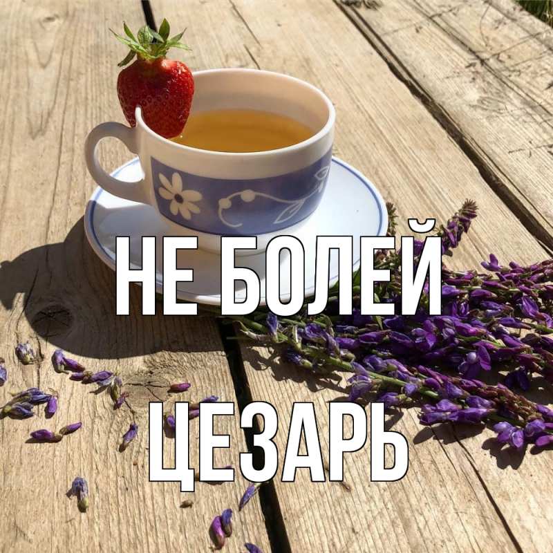 Картинка Не болей, Цезарь