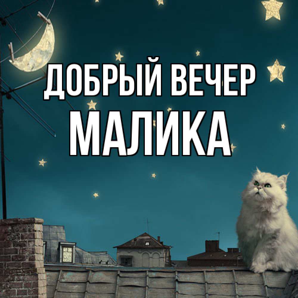 Открытка  с именем. Малика, Добрый вечер  