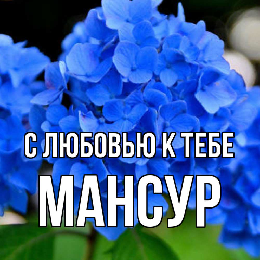 Открытка  с именем. Мансур, С любовью к тебе  