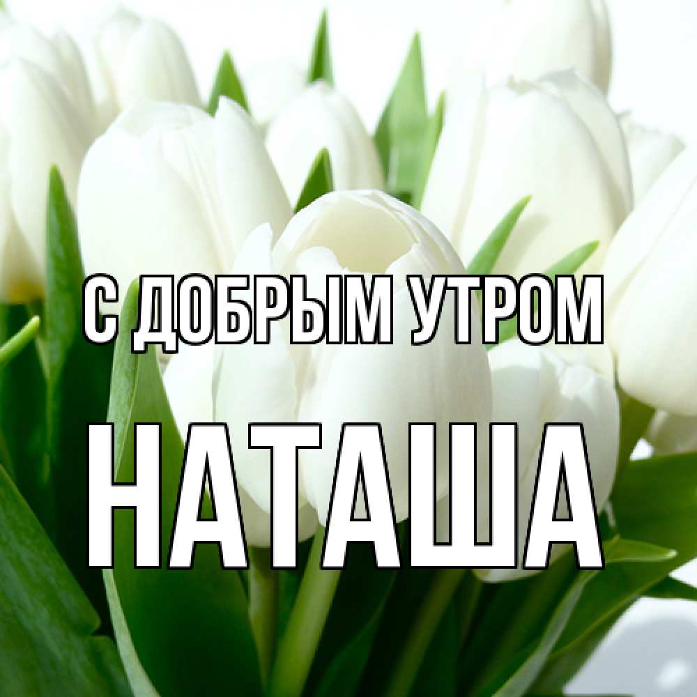 Открытка  с именем. Наташа, С добрым утром  