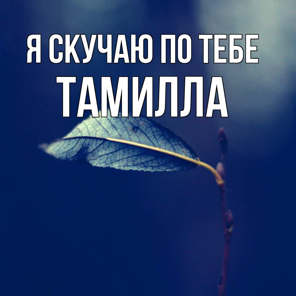 Открытка  с именем. Тамилла, Я скучаю по тебе  
