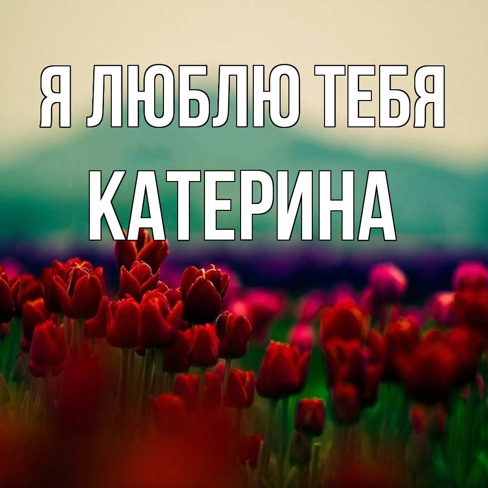 Открытка  с именем. Катерина, Я люблю тебя  