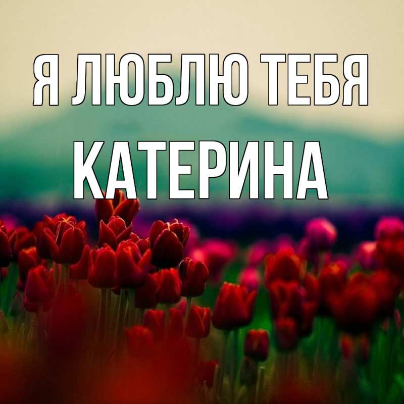 Картинка Я люблю тебя, Катерина