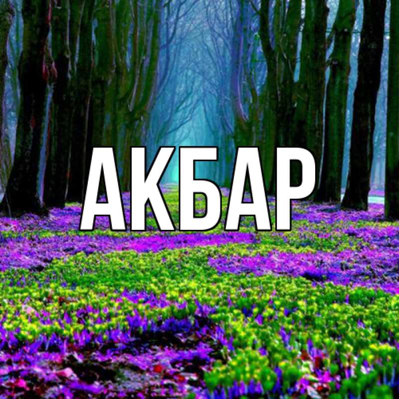 Картинка  с именем , Акбар
