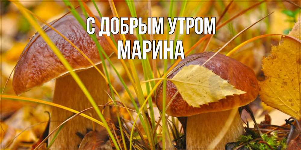 Открытка  с именем. Марина, С добрым утром  
