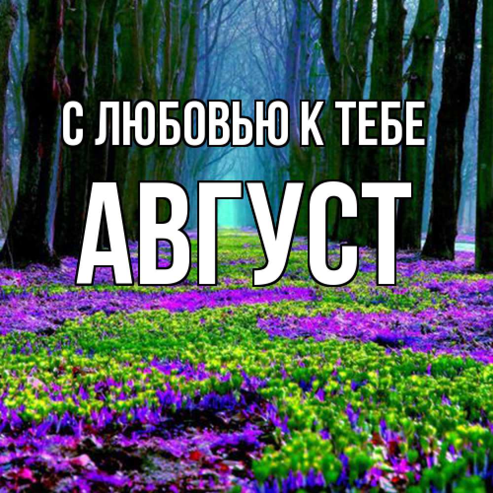 Открытка  с именем. Август, С любовью к тебе  