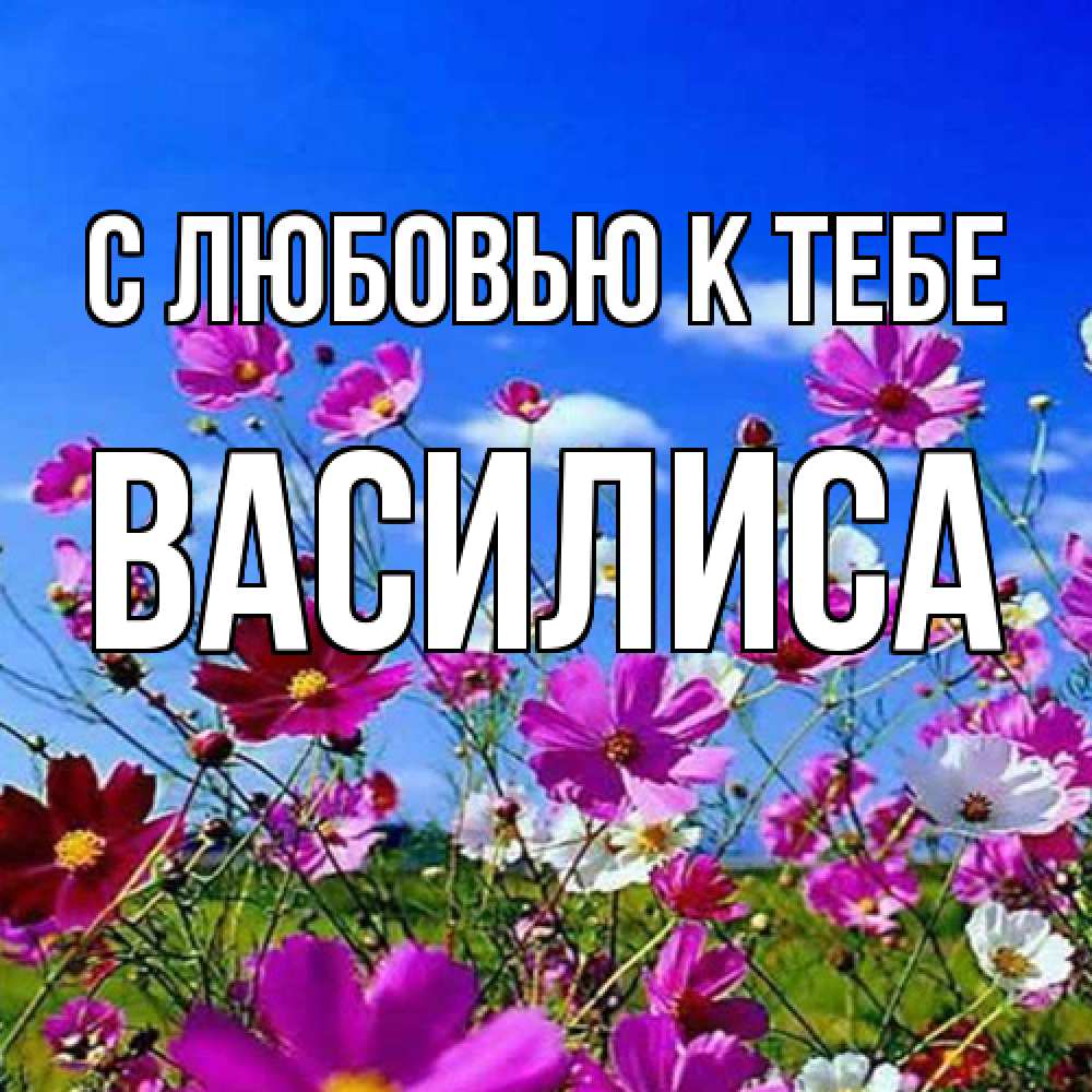 Открытка  с именем. Василиса, С любовью к тебе  