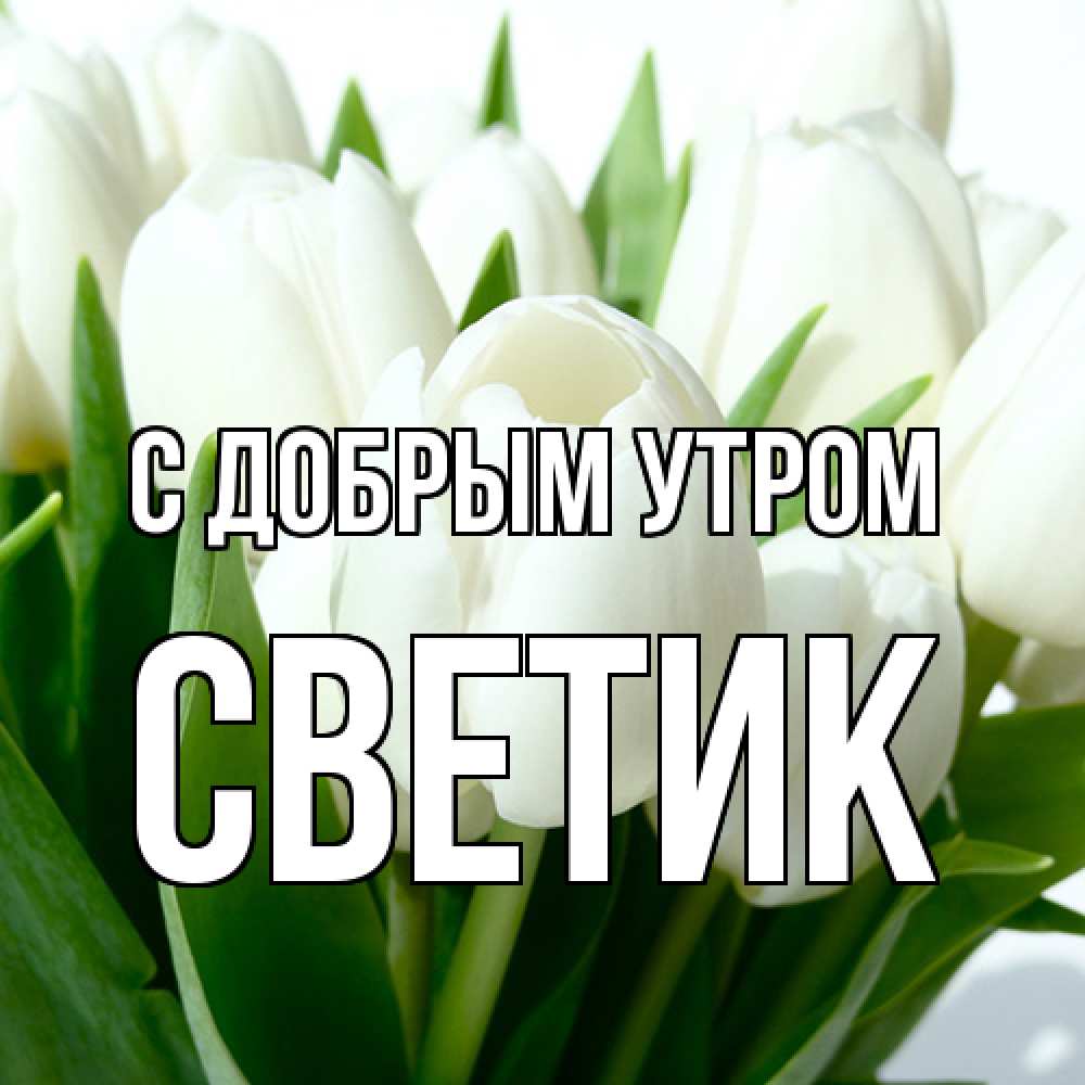 Открытка  с именем. Светик, С добрым утром  