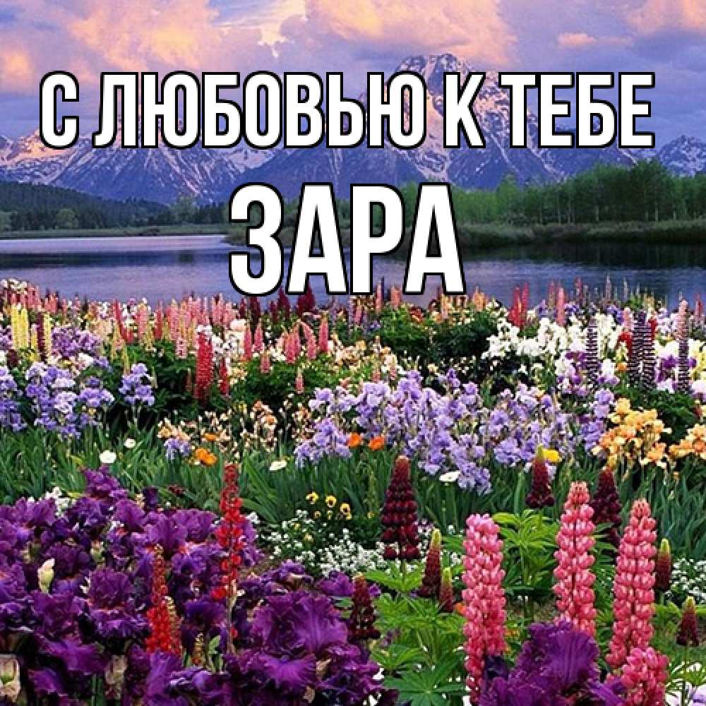 Открытка  с именем. Зара, С любовью к тебе  