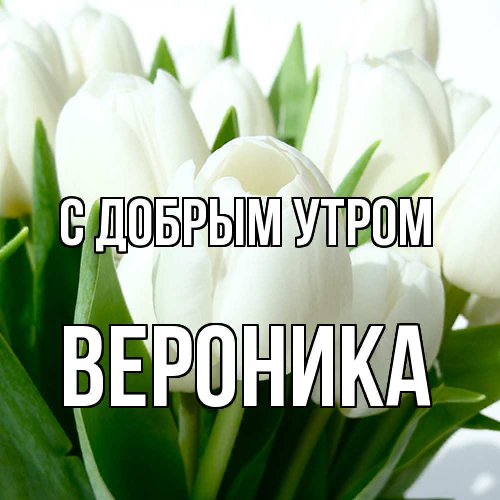 Открытка  с именем. Вероника, С добрым утром  