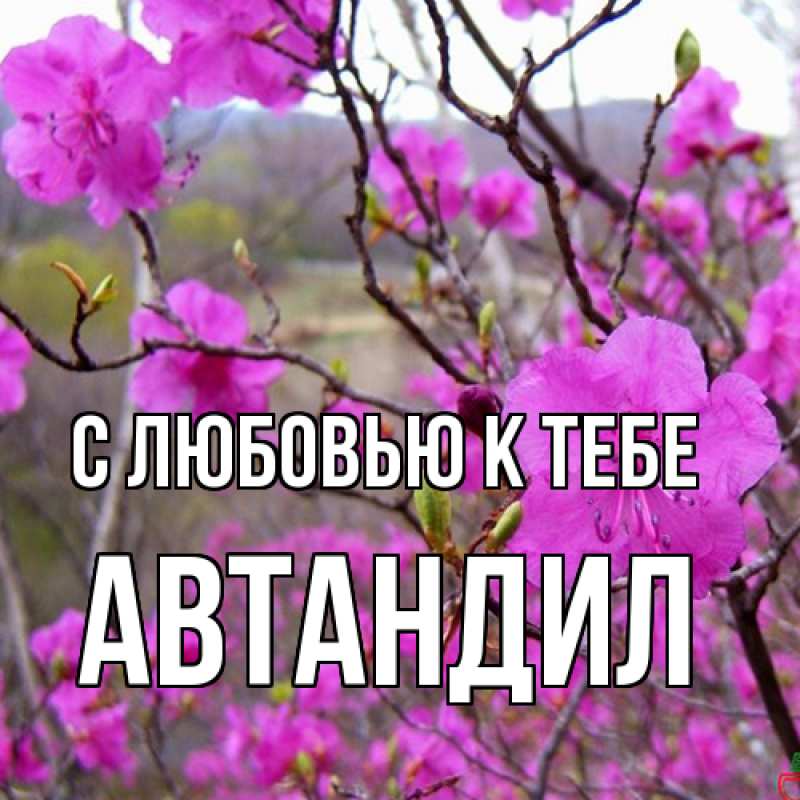 Картинка С любовью к тебе, Автандил