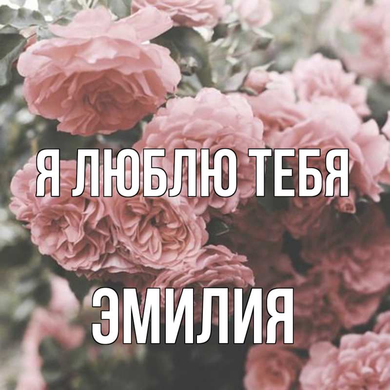 Открытка с именем, Эмилия, Я люблю тебя