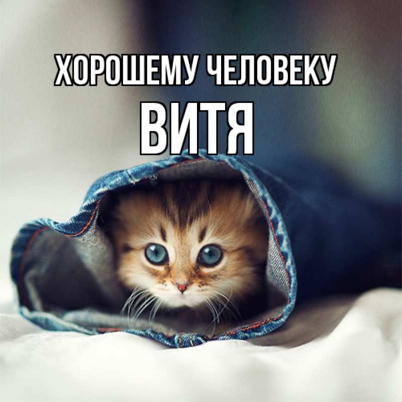 Картинка Хорошему человеку, Витя