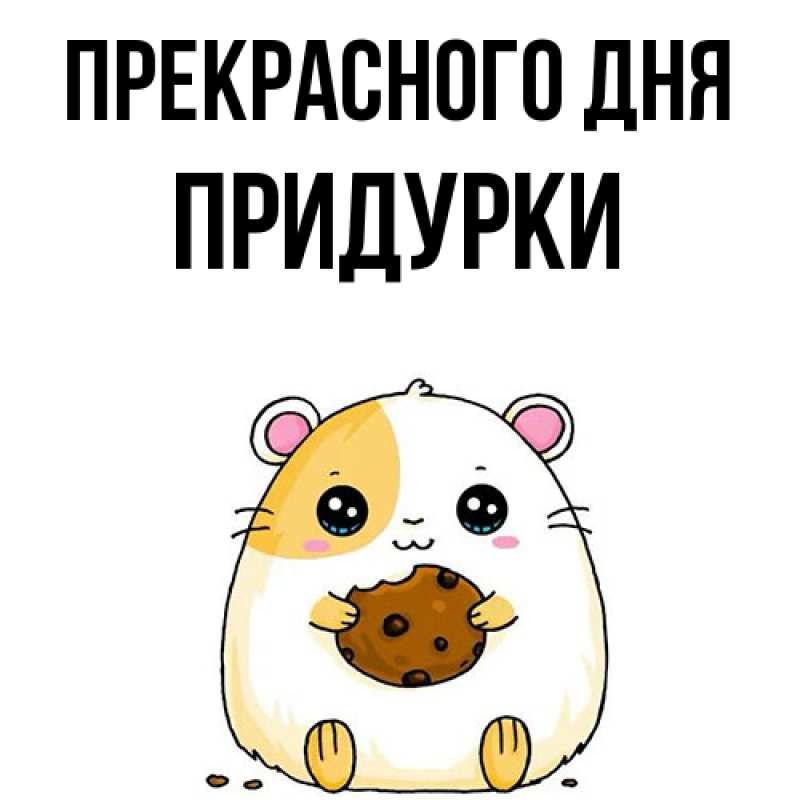 Картинка Прекрасного дня, Придурки