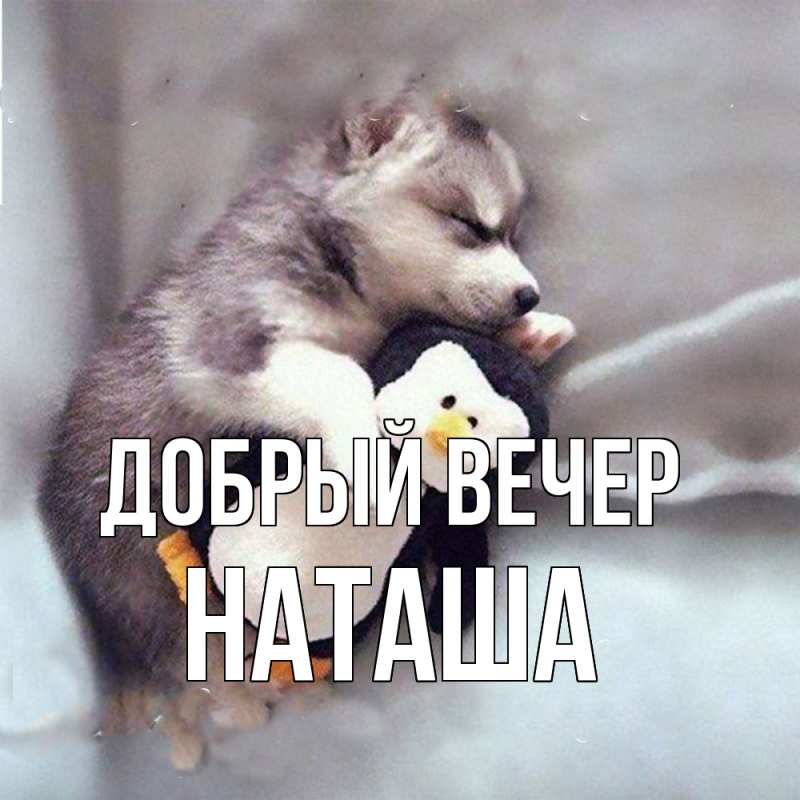 Открытка с именем, наташа, Добрый вечер