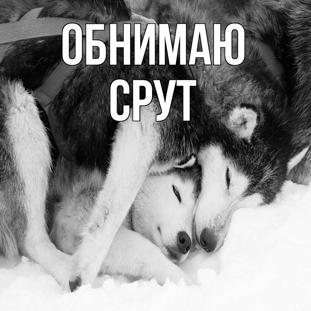 Открытка  с именем. срут, Обнимаю  