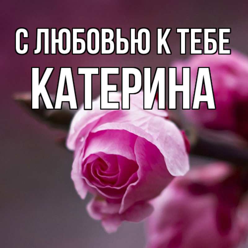 Картинка С любовью к тебе, Катерина