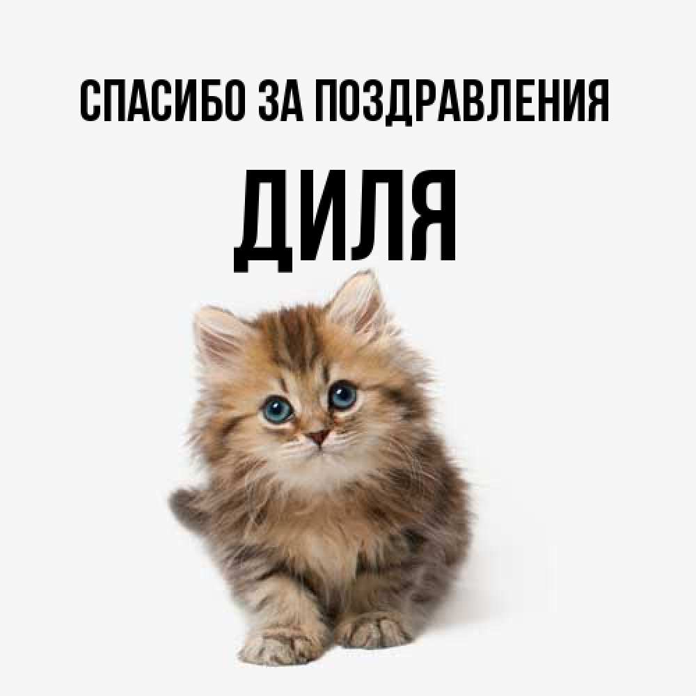 Открытка  с именем. Диля, Спасибо за поздравления  