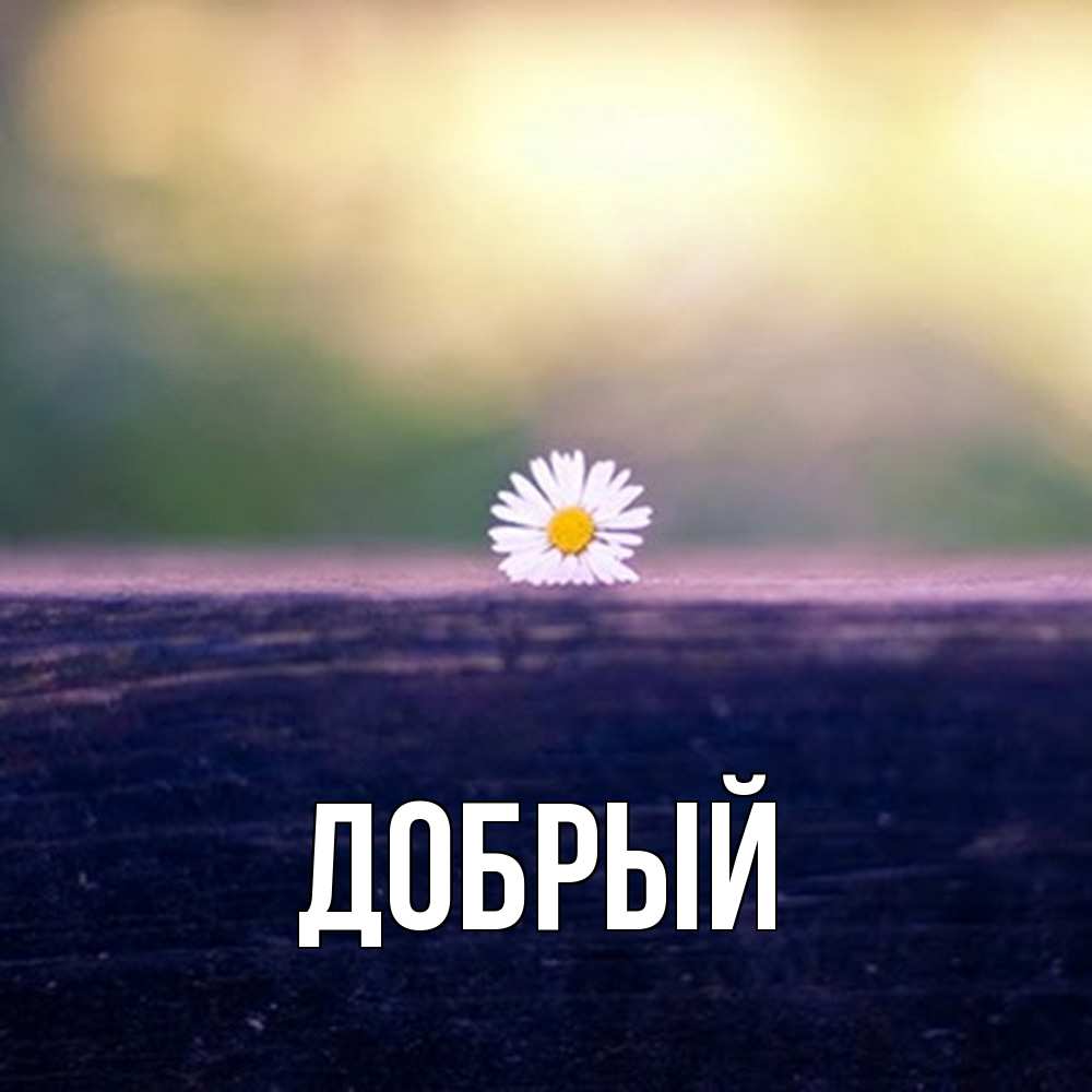 Открытка  с именем. Добрый, Главная  