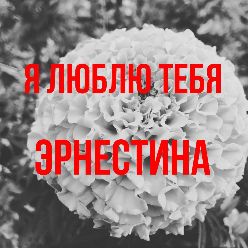 Открытка  с именем. Эрнестина, Я люблю тебя  