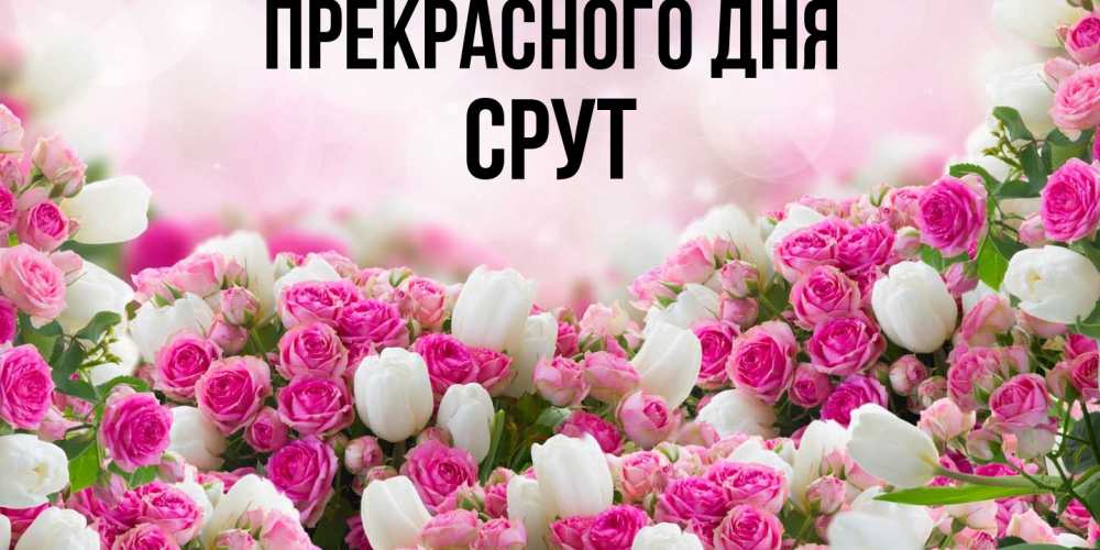 Открытка  с именем. срут, Прекрасного дня  