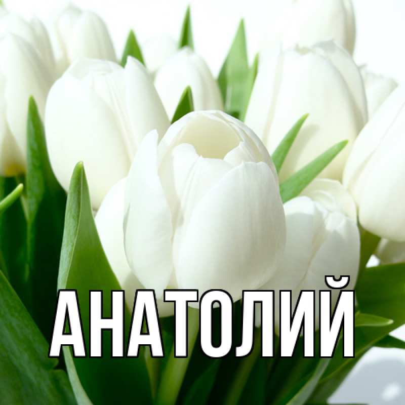 Картинка  с именем , Анатолий