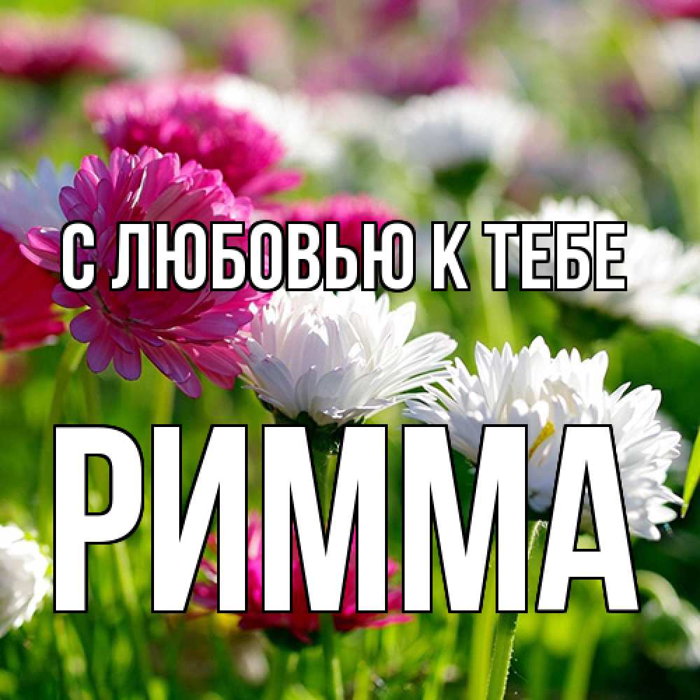 Открытка  с именем. Римма, С любовью к тебе  