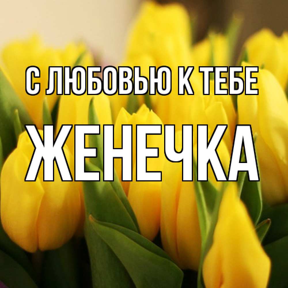 Открытка  с именем. Женечка, С любовью к тебе  