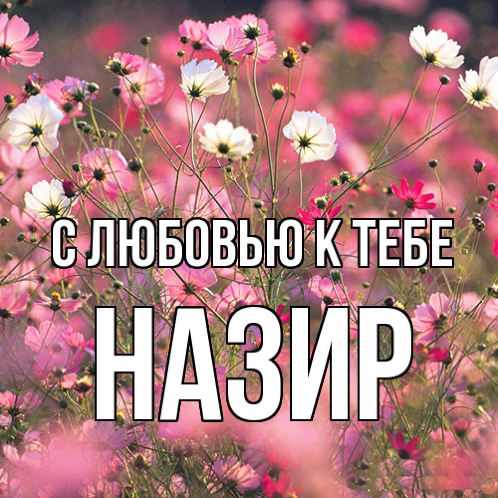 Открытка  с именем. Назир, С любовью к тебе  