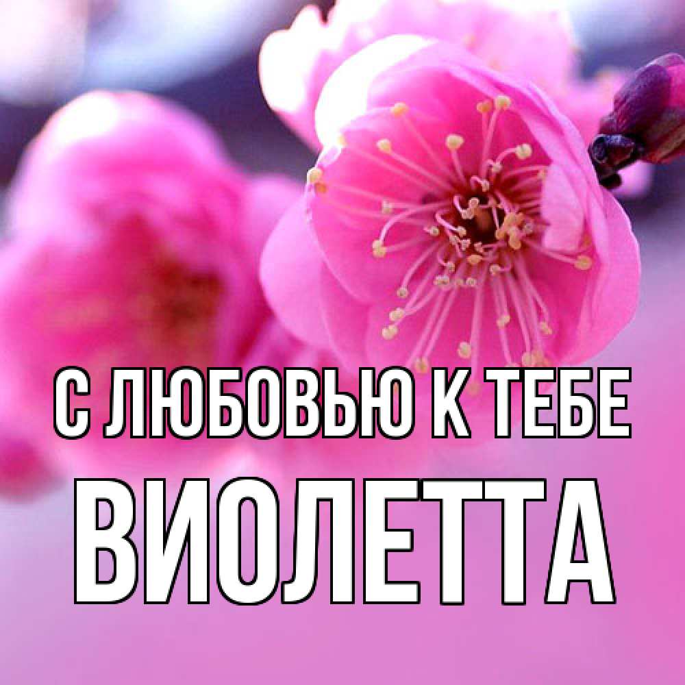 Открытка  с именем. Виолетта, С любовью к тебе  