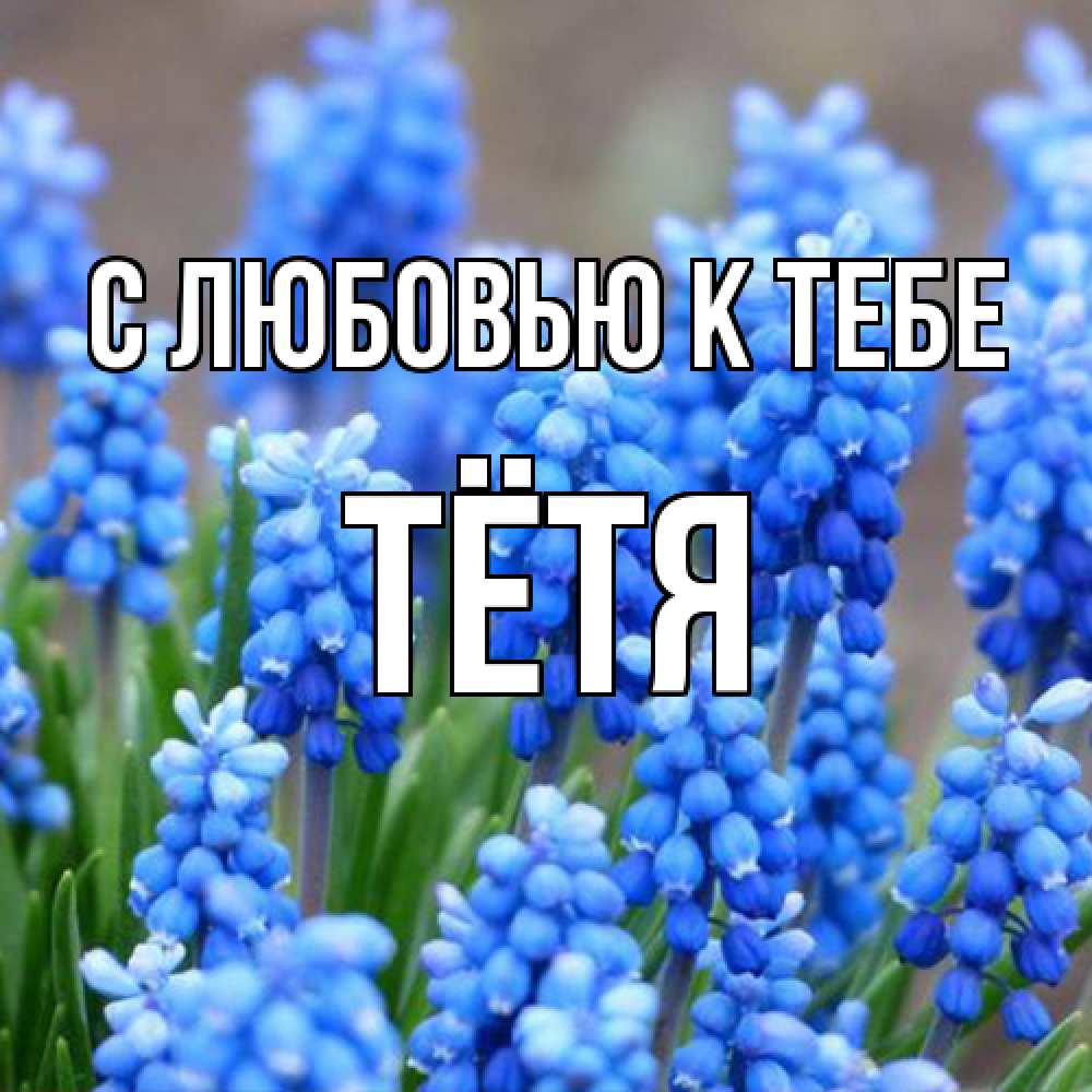 Открытка  с именем. Тётя, С любовью к тебе  