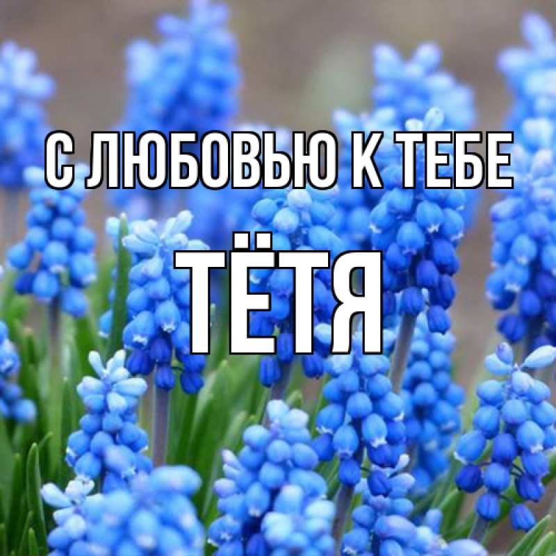 Картинка С любовью к тебе, Тётя