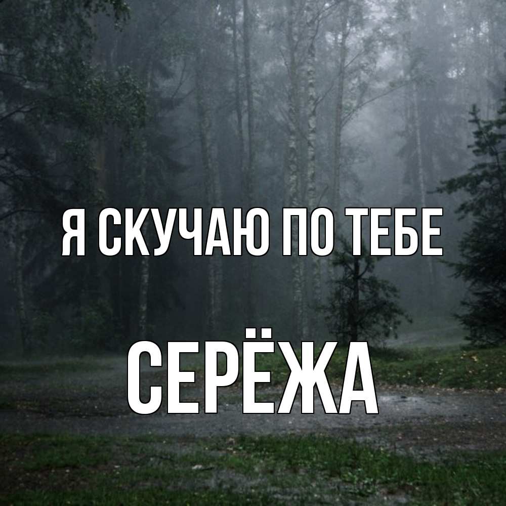 Открытка  с именем. Серёжа, Я скучаю по тебе  