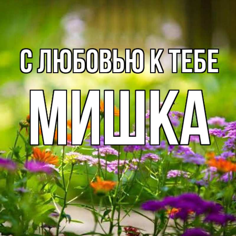 Картинка С любовью к тебе, Мишка