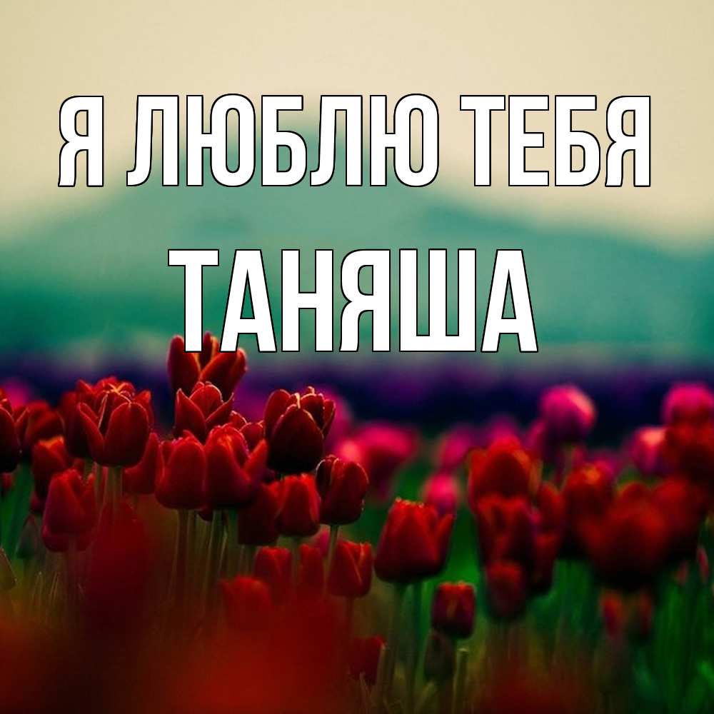 Открытка  с именем. таняша, Я люблю тебя  