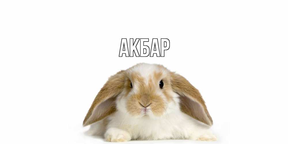 Открытка  с именем. Акбар, Главная  