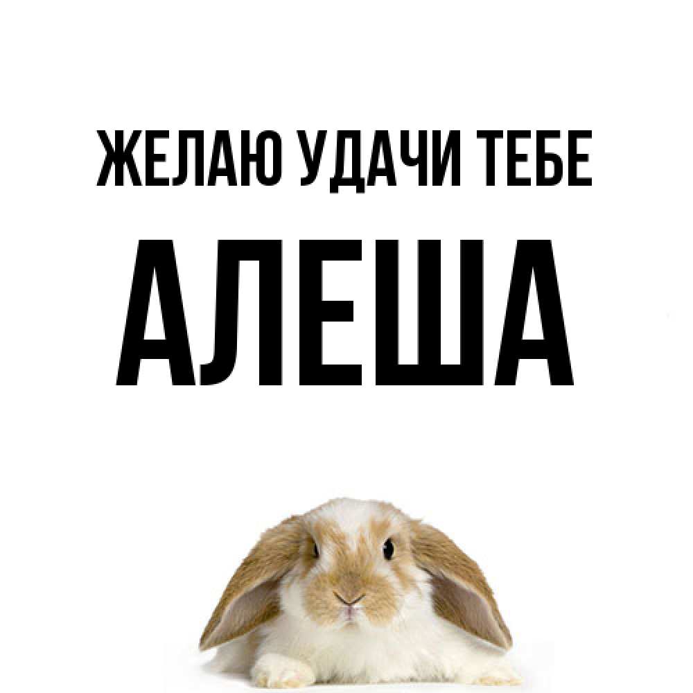 Открытка  с именем. Алеша, Желаю удачи тебе  