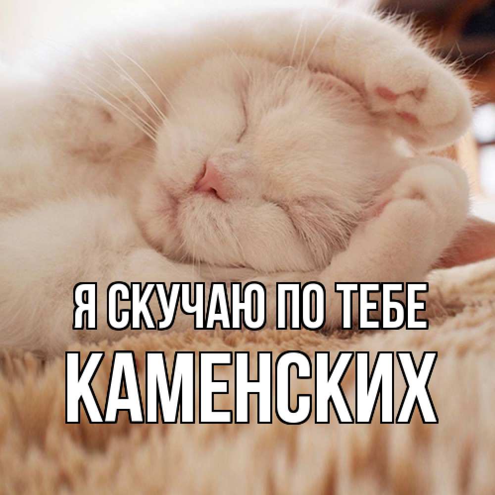 Открытка  с именем. Каменских, Я скучаю по тебе  