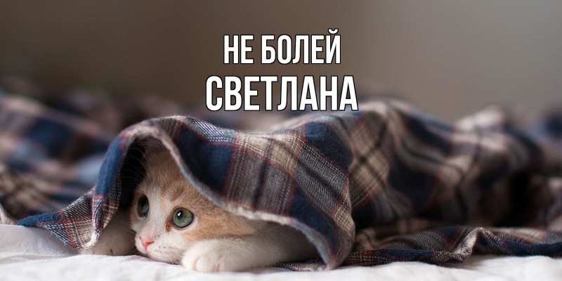 Картинка Не болей, Светлана