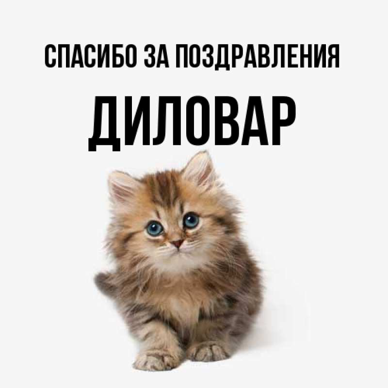 Картинка Спасибо за поздравления, Диловар