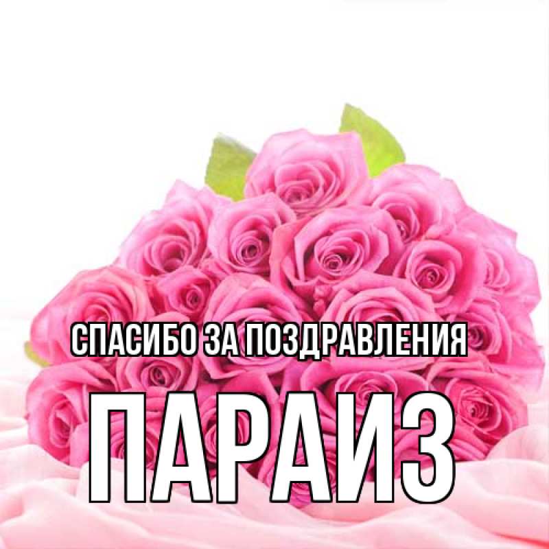 Картинка Спасибо за поздравления, Параиз