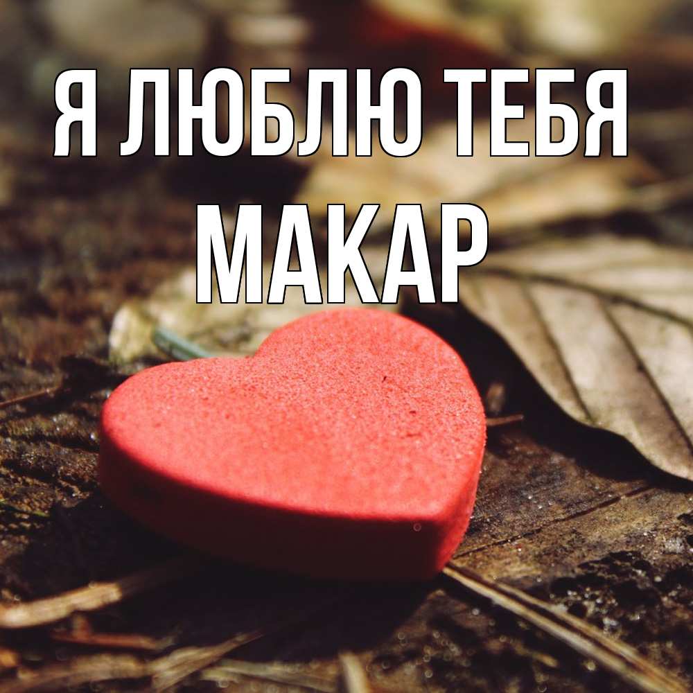 Открытка  с именем. Макар, Я люблю тебя  