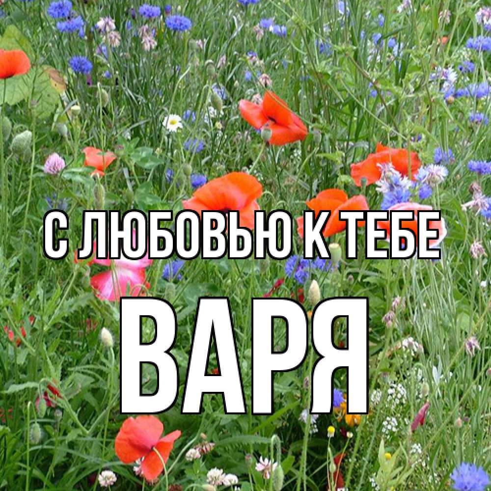 Открытка  с именем. варя, С любовью к тебе  