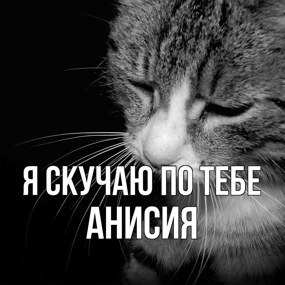 Открытка  с именем. Анисия, Я скучаю по тебе  
