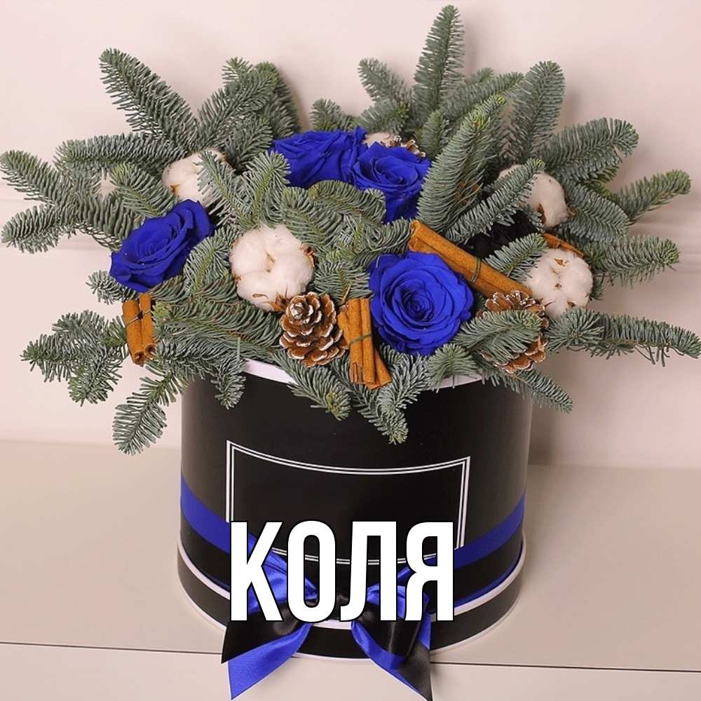 Открытка  с именем. коля, Главная  