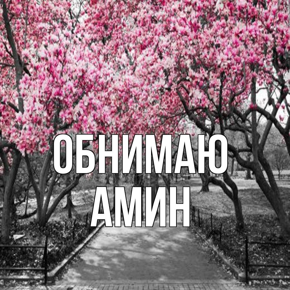 Открытка  с именем. Амин, Обнимаю  