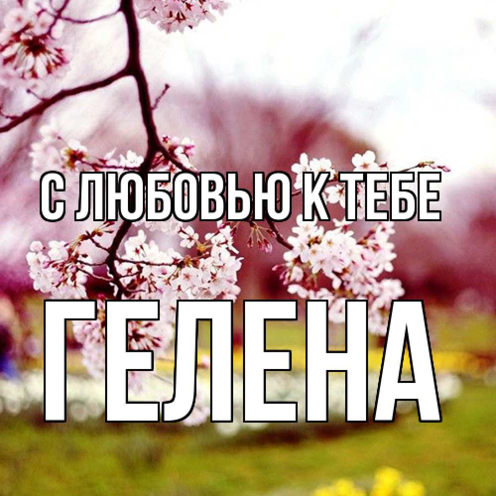 Открытка  с именем. Гелена, С любовью к тебе  